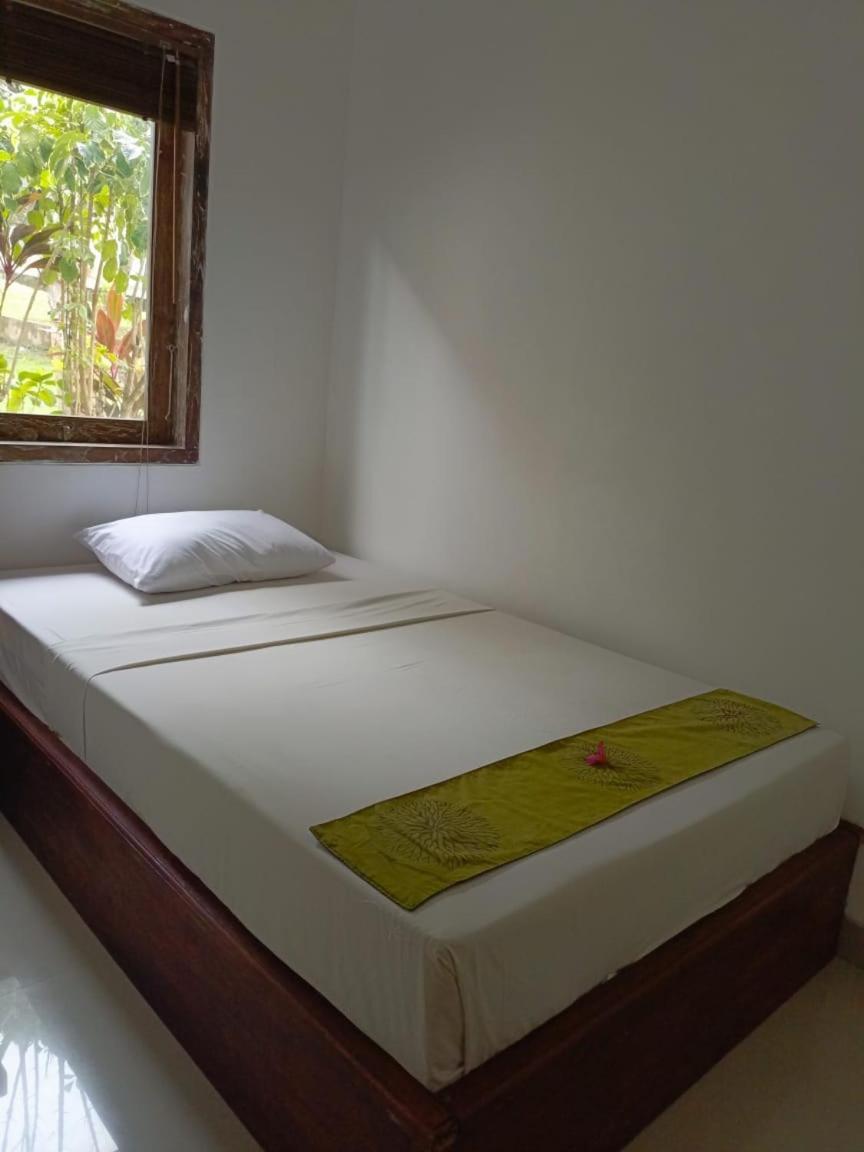 Araminth Guest House And Spa Lovina Beach Extérieur photo